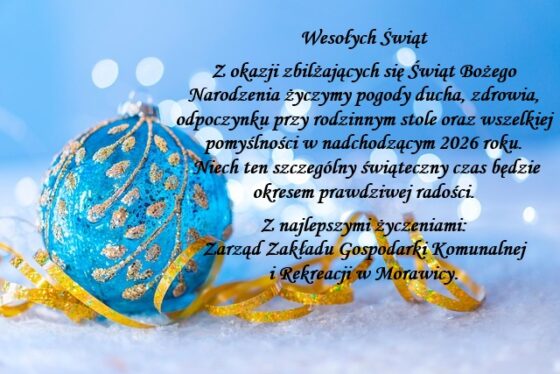 Wesołych Świąt oraz wszelkiej pomyślności w nadchodzącym 2026 roku